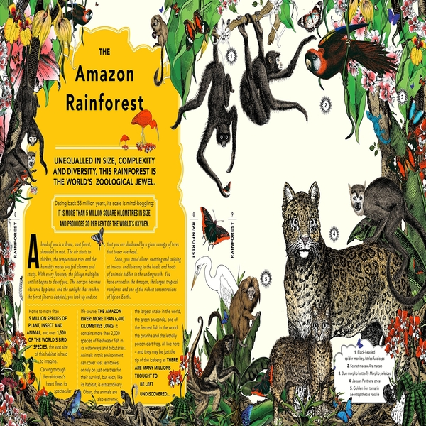 The Wonder Garden: Wander through the world's wildest habitats and discover more than 80 amazing animals